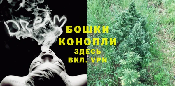 ПСИЛОЦИБИНОВЫЕ ГРИБЫ Богородск
