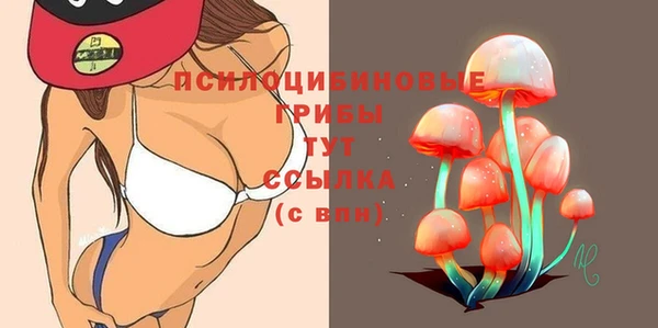 ПСИЛОЦИБИНОВЫЕ ГРИБЫ Богородск