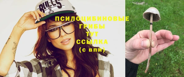 MESCALINE Богородицк