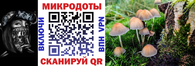 Галлюциногенные грибы Psilocybine cubensis  Чишмы 